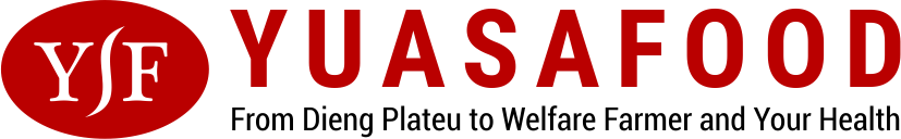 Yuasafood
